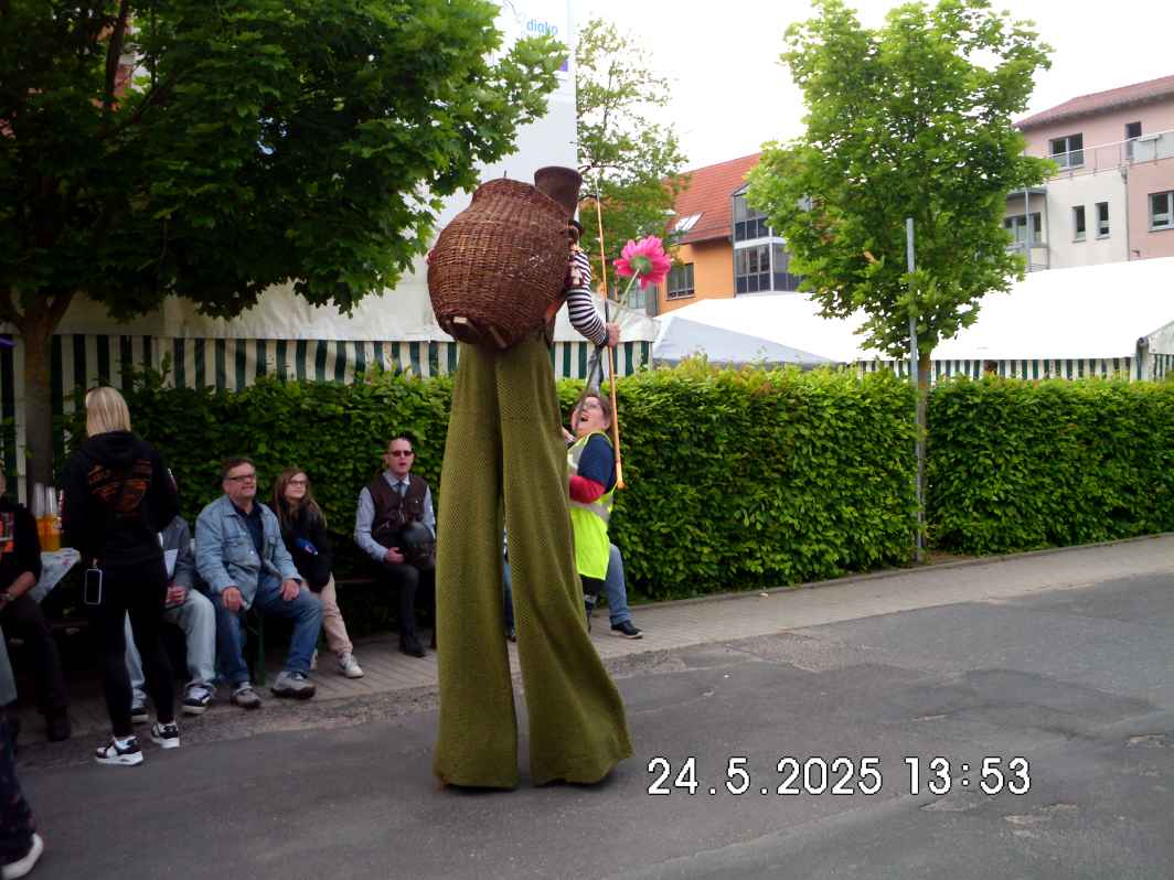 Gespannfahrer Thüringen 2025 Rundfahrten Eisenach Diakonie